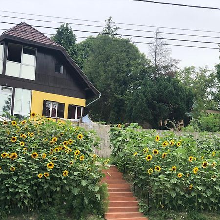R&B Vendeghaz Apartment Balatonakarattya Luaran gambar