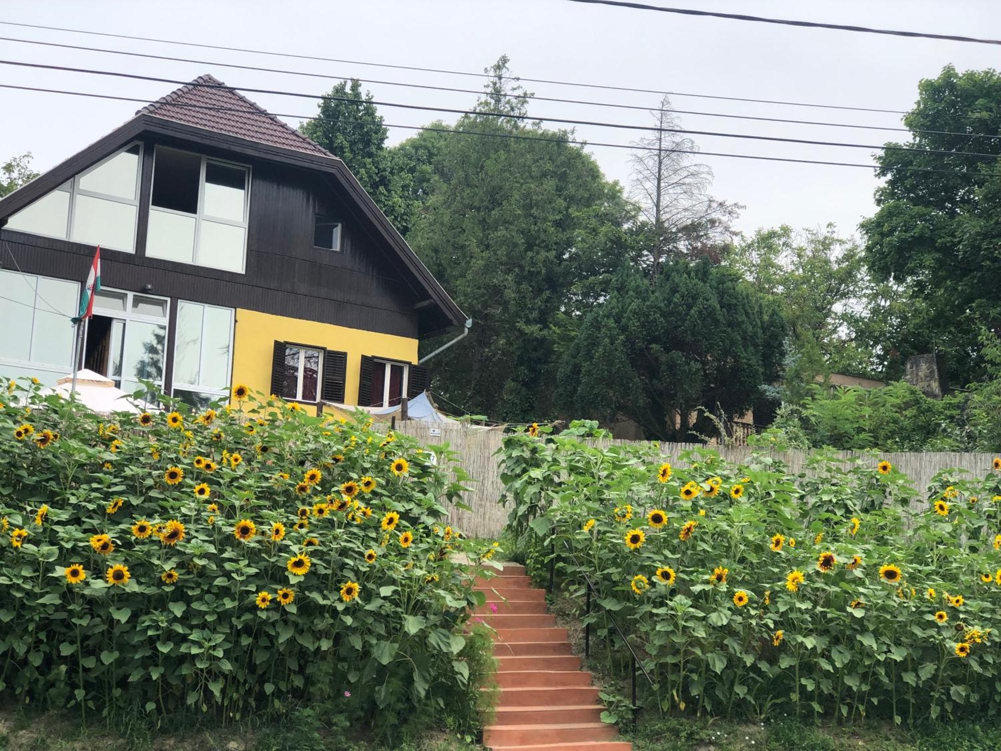 R&B Vendeghaz Apartment Balatonakarattya Luaran gambar